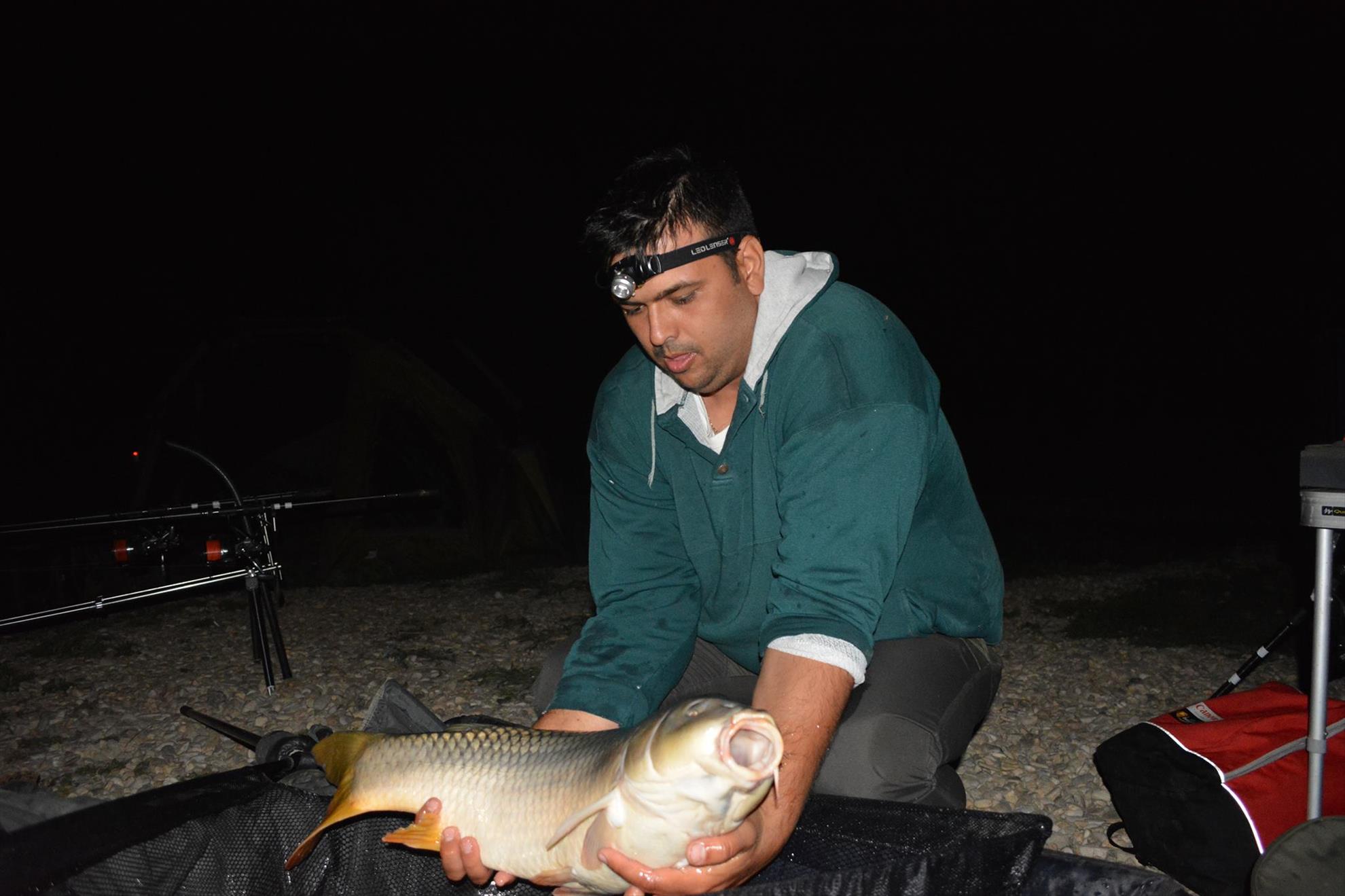 Hermes Peris 12 - 13 septembrie 2014 - 106731706115218656321471555027612o.jpg